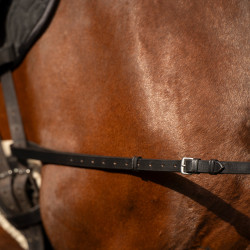 Elastische bijzet Imperial Riding Elastische bijzet Imperial Riding