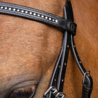 Bridon shetland Imperial Riding Stormy Zwart / kristal Bridon shetland Imperial Riding Stormy Zwart / kristal