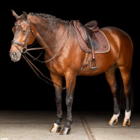 Duitse teugels SH Imperial Riding Core Bruin