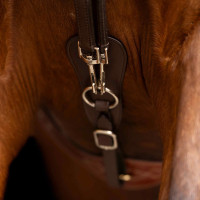 Duitse teugels SH Imperial Riding Core Bruin