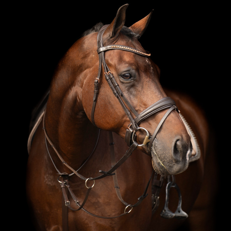 Martingaal Imperial Riding Core Martingaal Imperial Riding Core