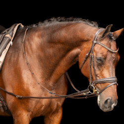 Imperial Riding Core hulpteugel Bruin