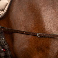 Imperial Riding Core hulpteugel Bruin
