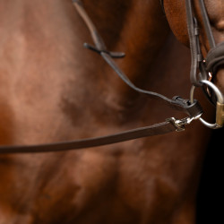 Imperial Riding Core hulpteugel Bruin