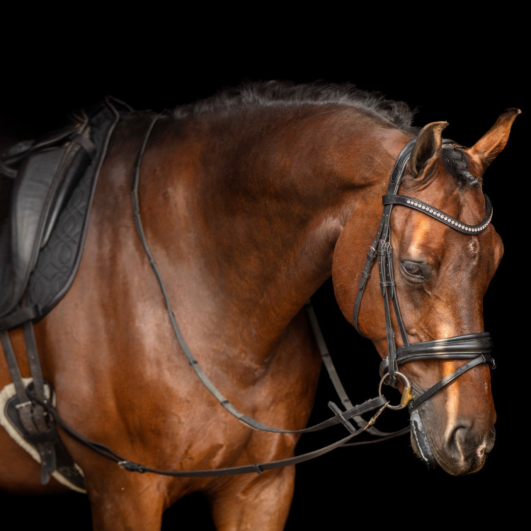 Imperial Riding Core hulpteugel Imperial Riding Core hulpteugel