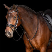 Chambon Imperial Riding Core Zwart