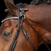 Chambon Imperial Riding Core Zwart