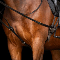 Teugels Triangle Imperial Riding Core Zwart Teugels Triangle Imperial Riding Core Zwart