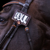 Nummerhouder voor zadeldekje Imperial Riding Show and Glow Bruin / croco bruin