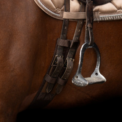 Dressuursingel Imperial Riding Core