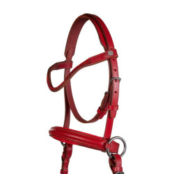 Bitloze hoofdstel Funny Horses 2 voor paarden HKM Rood Bitloze hoofdstel Funny Horses 2 voor paarden HKM Rood