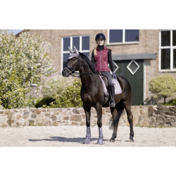 Vliegennetje Berry HKM Vliegennetje Berry HKM
