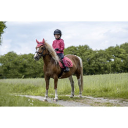 Vliegennetje Amelie HKM Vliegennetje Amelie HKM