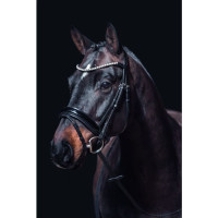 Bridon Fleur HKM Zwart Bridon Fleur HKM Zwart