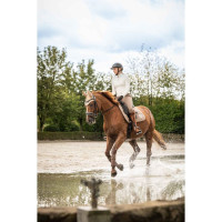 Vliegennetje Lavender Bay HKM Taupe Bruin