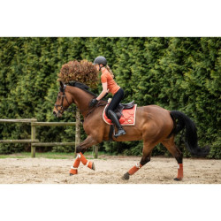 Polo bandages Edinburgh HKM Polo bandages Edinburgh HKM