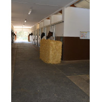 DELTA DIAM - SOL ALLEE ECURIE