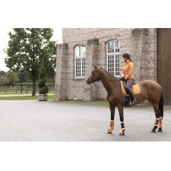 Allure Paardendeken HKM Allure Paardendeken HKM