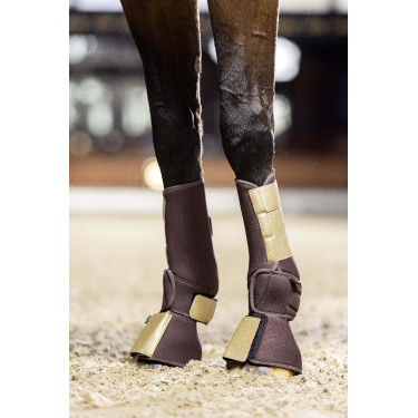 Softoprène springschoenen Colour Pro HKM Donkerbruin Softoprène springschoenen Colour Pro HKM Donkerbruin