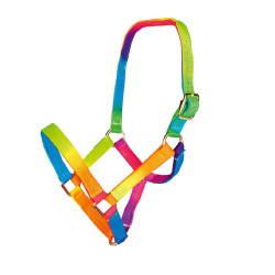 Licol nylon pour Shetland Multicolor HKM Multicolore