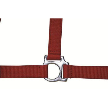 Halster Stars Economy HKM Rood