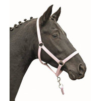 Halster Stars Economy Softice HKM Melkachtig roze Halster Stars Economy Softice HKM Melkachtig roze