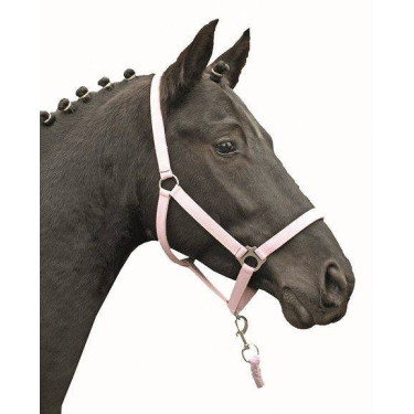 Halster Stars Economy Softice HKM Melkachtig roze