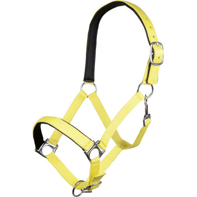 Licol Stars Softice doublure douce HKM Jaune fluo
