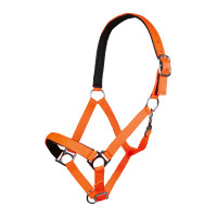 Halster Stars Softice zachte voering HKM Fluoro oranje