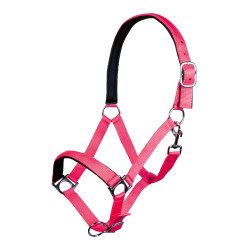 Halster Stars Softice zachte voering HKM Neonroze Halster Stars Softice zachte voering HKM Neonroze