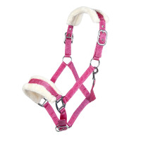 Licol Bischofshofen rembourrage Teddy HKM Magenta