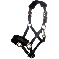 Halster Rosegold Glamour Style HKM Zwart / roségoud Halster Rosegold Glamour Style HKM Zwart / roségoud