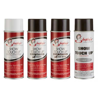 Shapleys Show Touch Up Zwart