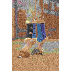 Comfort Mesh beenbeschermers HKM Donkerblauw Comfort Mesh beenbeschermers HKM Donkerblauw