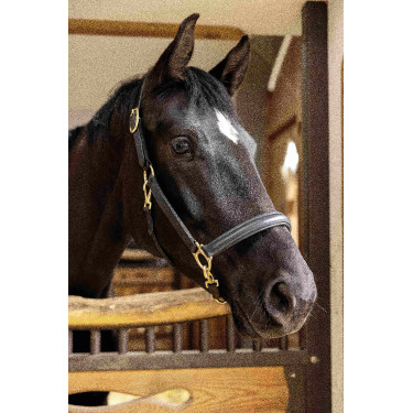 Leren halster Gold HKM Zwart