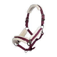 Licol Strong HKM Bordeaux