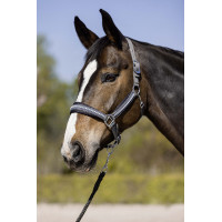 Longe Berry met karabijnhaak HKM Donkergrijs Longe Berry met karabijnhaak HKM Donkergrijs