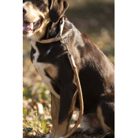 Hondenhalsband Anam Cara touw HKM Brandy Bruin