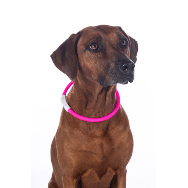 LED-lichtgevende halsband voor honden HKM LED-lichtgevende halsband voor honden HKM