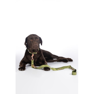 Dressuurlijn voor honden Qooper nylon HKM