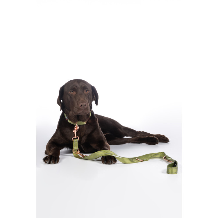 Dressuurlijn voor honden Qooper nylon HKM