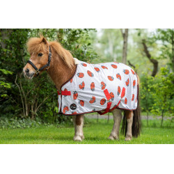 Vliegendeken Ladybug HKM Vliegendeken Ladybug HKM