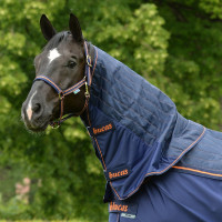 Nekstuk Bucas Therapy Cooler Neck Marine / oranje Blauw Nekstuk Bucas Therapy Cooler Neck Marine / oranje Blauw