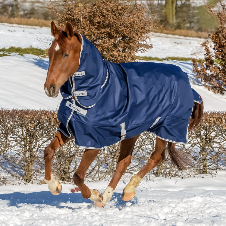 Bucas Freedom Turnout Full Neck 150g Deken Bucas Freedom Turnout Full Neck 150g Deken