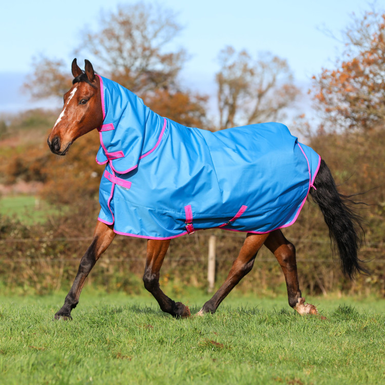 Bucas Freedom Turnout Full Neck 150g Deken Bucas Freedom Turnout Full Neck 150g Deken