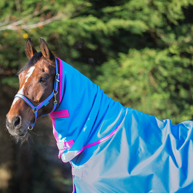 Bucas Freedom Turnout Full Neck 150g Deken Bucas Freedom Turnout Full Neck 150g Deken