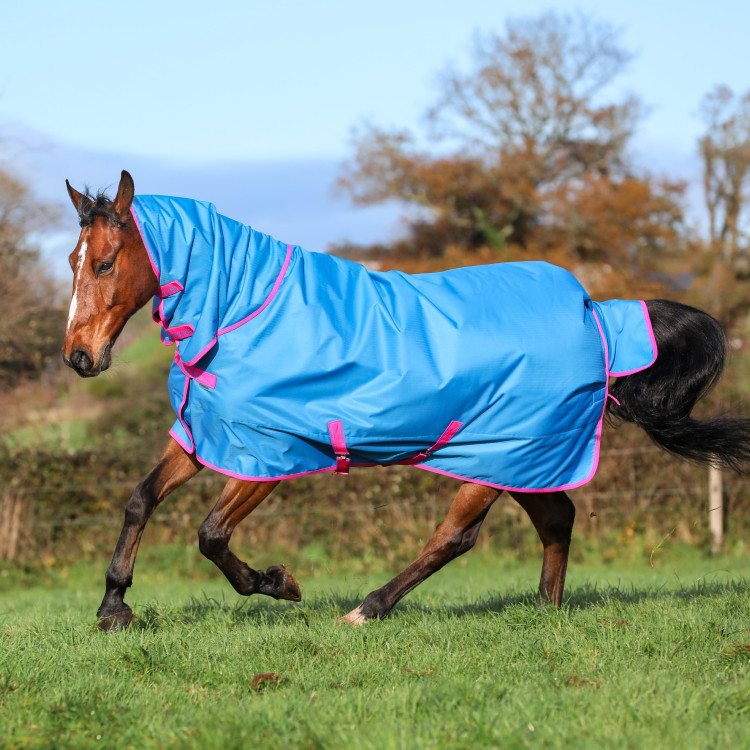Bucas Freedom Turnout Full Neck 150g Deken Bucas Freedom Turnout Full Neck 150g Deken