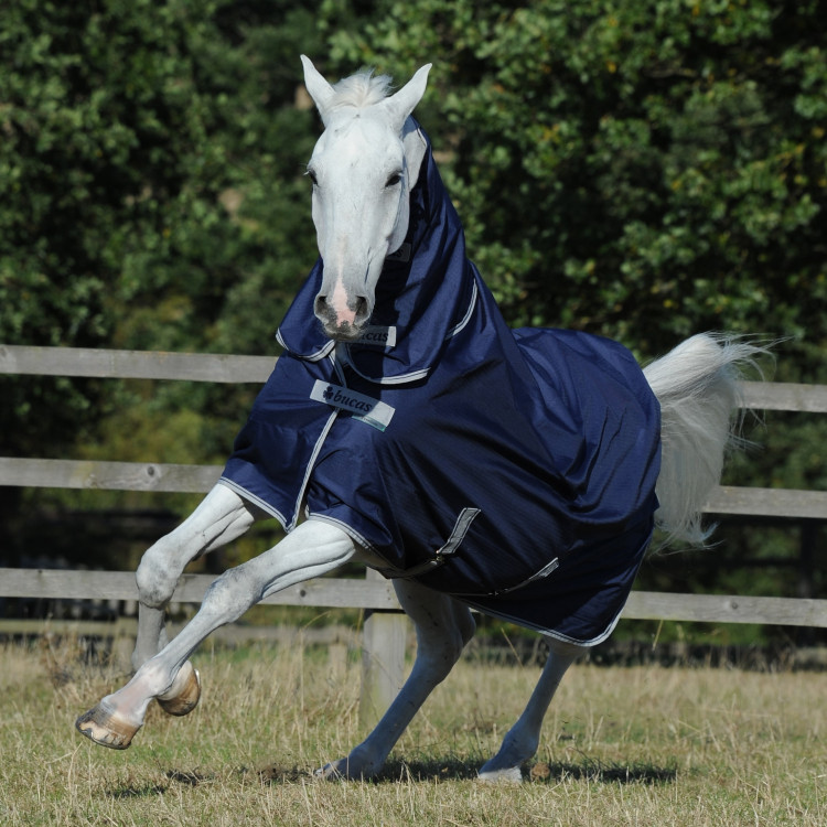 Bucas Freedom Turnout Full Neck 300g deken Bucas Freedom Turnout Full Neck 300g deken