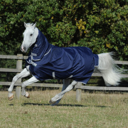 Bucas Freedom Turnout Full Neck 300g deken Bucas Freedom Turnout Full Neck 300g deken