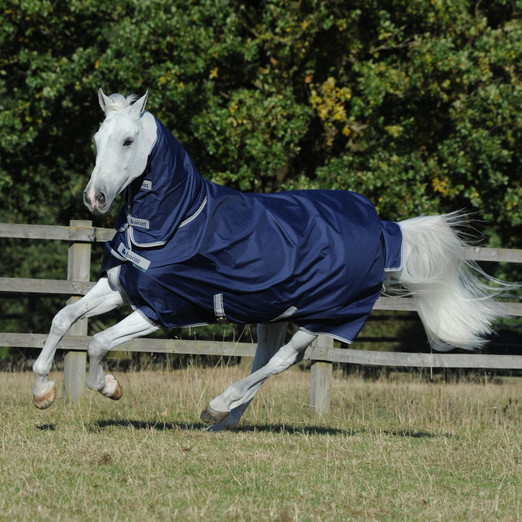 Bucas Freedom Turnout Full Neck 300g deken Bucas Freedom Turnout Full Neck 300g deken
